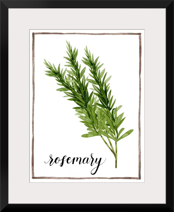 Watercolor painting with sprigs of rosemary on a white background with a brown boarder and the word "rosemary" written in ...