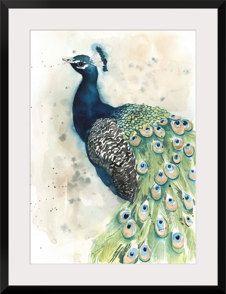 Contemporary watercolor peacock against a neutral background.