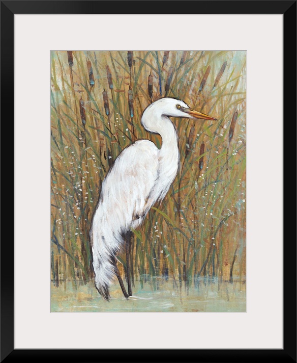 White Egret II