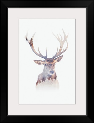 Antlers Of The Forest