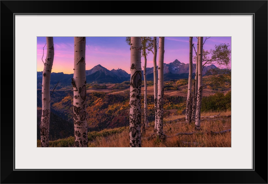 Aspen Frames