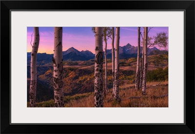 Aspen Frames