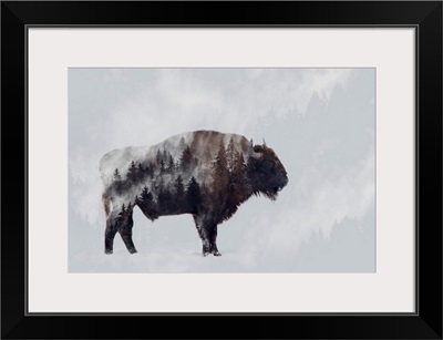 Bison - Double Exposure