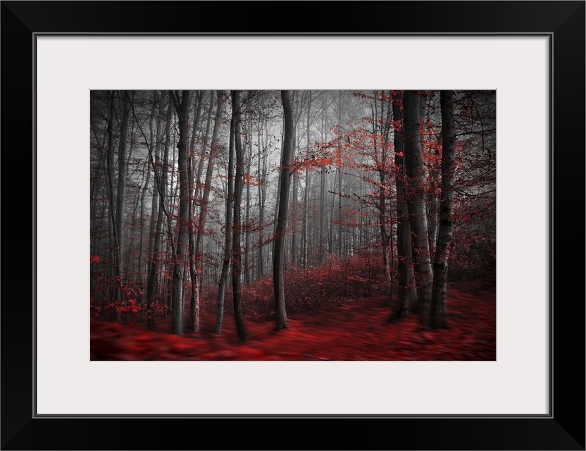 Blurred motion image of a forest in the fall, with red leaves on the ground resembling a river.