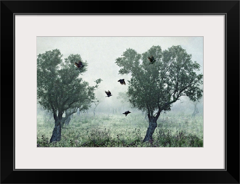 Crows flying between two trees in a foggy landscape.