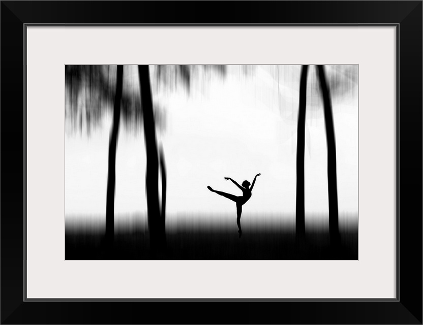 Silhouette of a dancer posing between tall trees.