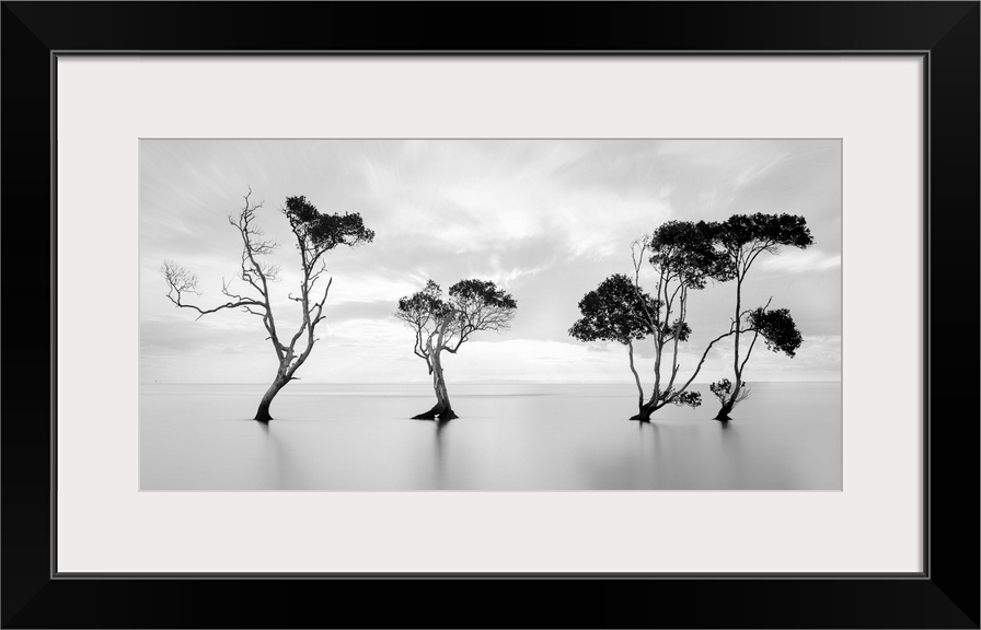 Trees standing sentinel in a flat still watery landscape.