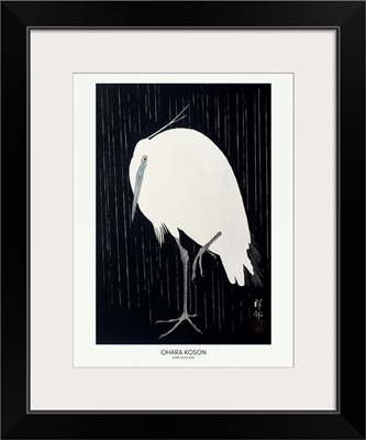 Egret In The Rain