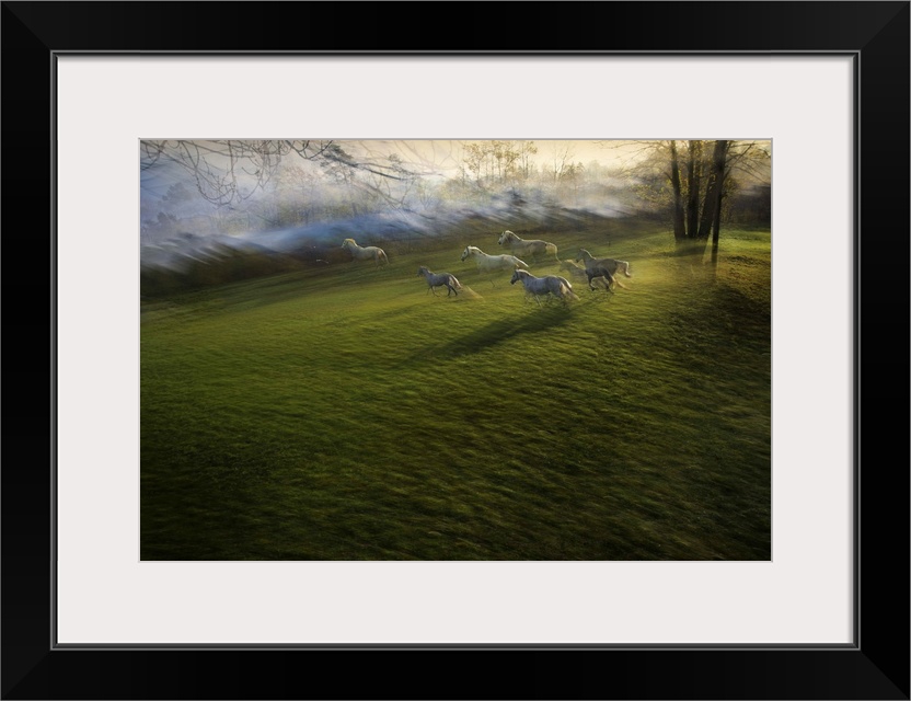 Motion blurred image of a herd of horses running through an open field.