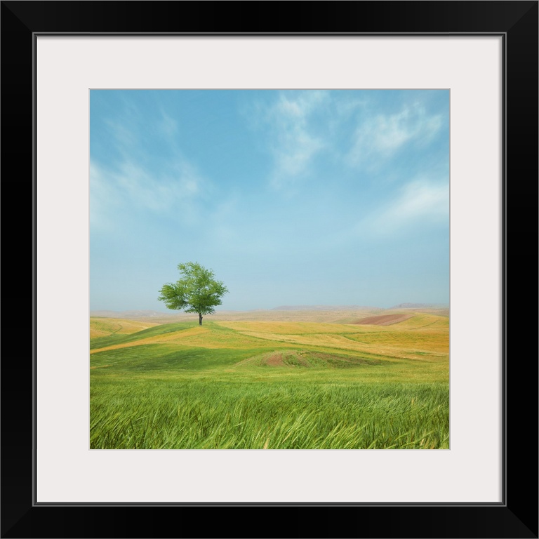 Peaceful country landscape wit ha single tree under a blue sky.