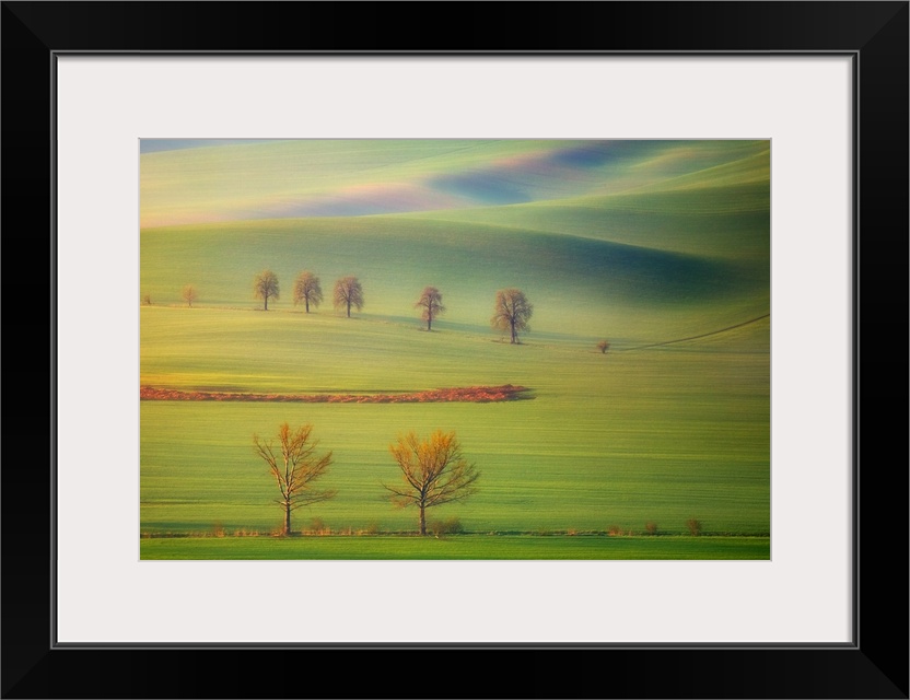 Early morning view of the lush green fields on the hills in Tuscany.