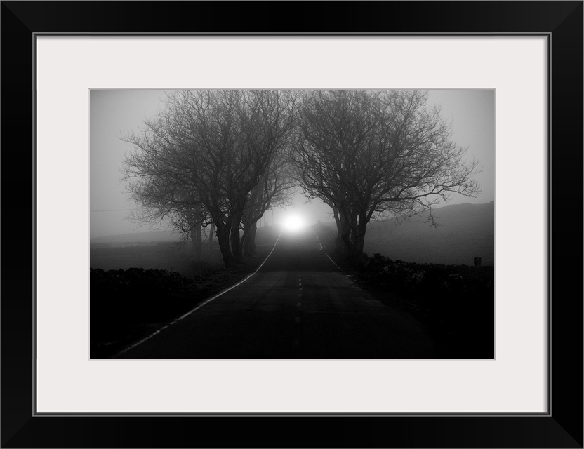 A countryside road narrowing in the distance through fog shrouded trees.