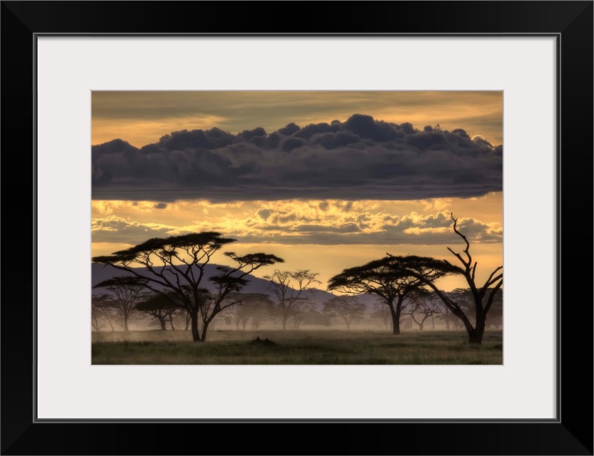 Dusk falls over Tanzania, casting tree in silhouette.