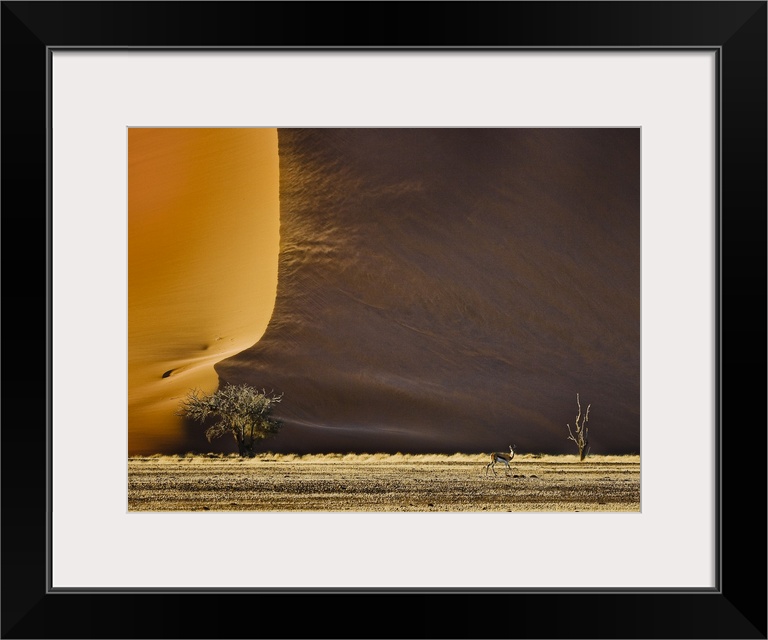 An antelope appears tiny in front of the massive sand dunes in the desert.