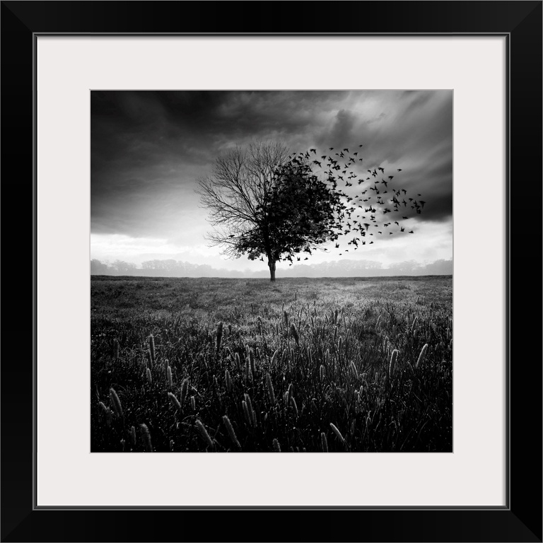 A black and white photograph of a flock of small birds lifting off from the branches of the tree.