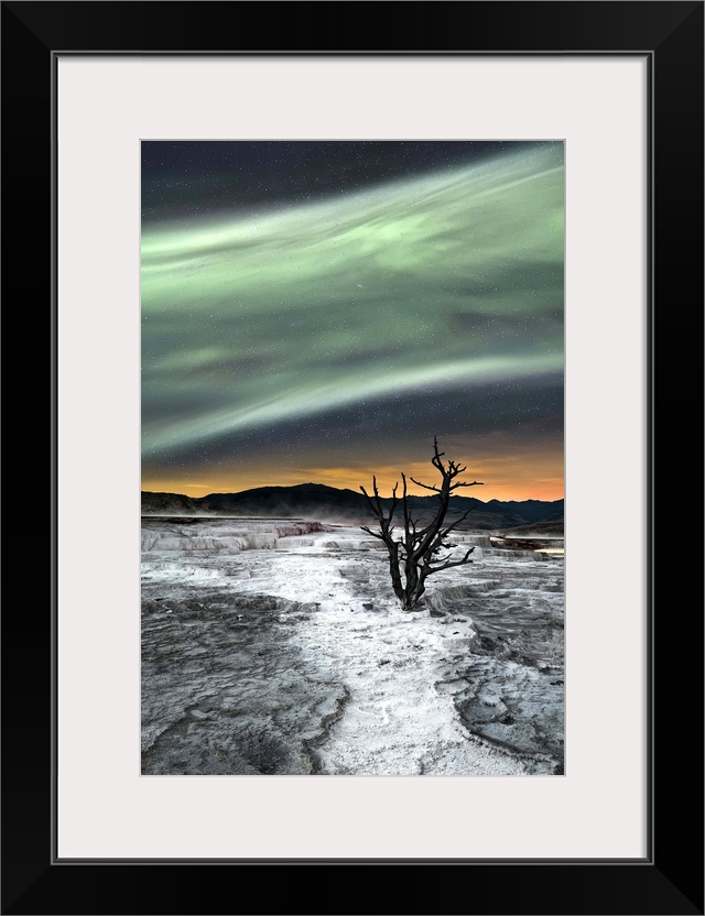 A barren tree in a rocky landscape under a glowing green aurora borealis.