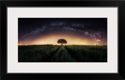 Milky Way Over Lonely Tree