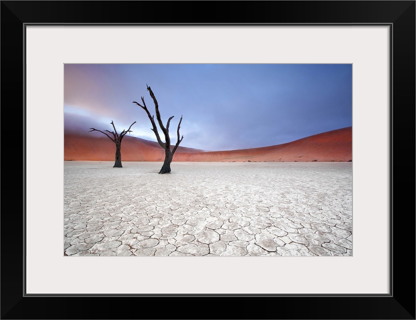 Two barren trees in the desert landscape on a foggy morning, Sossusvlei, Namibia.