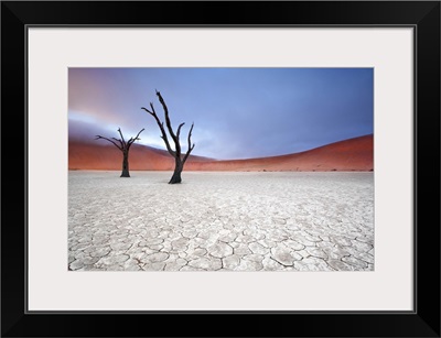 Mist Over Deadvlei