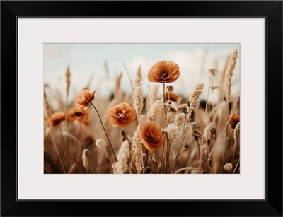 Orange Poppy Field