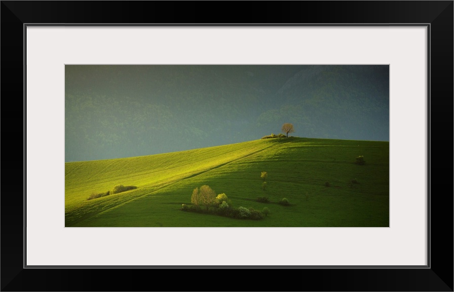 A verdant hill with warm sunlight in a valley in Slovakia.