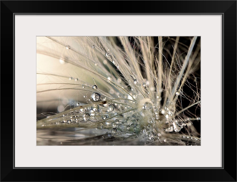 Macro photo of round water droplets clinging to bits of fiber.