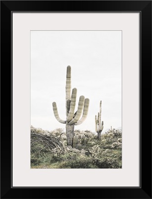 Pink Saguaro