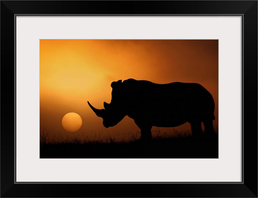 A rhinoceros stands in silhouette in the African Savannah with the sun setting in the distance.