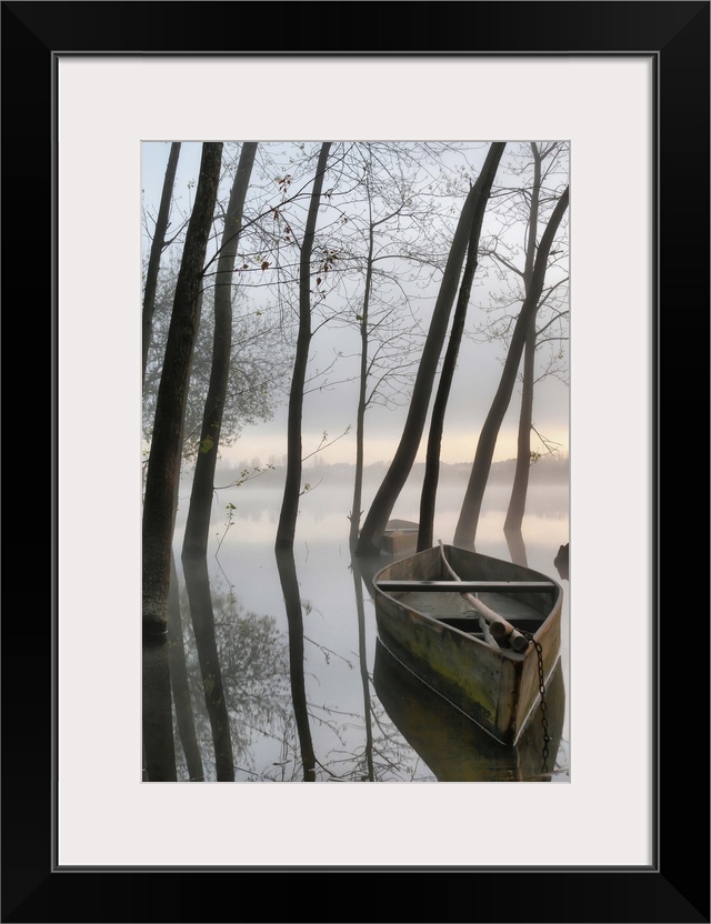 Two boats and several trees growing in the shallow water of Pateira de Fermentelos, Portugal.