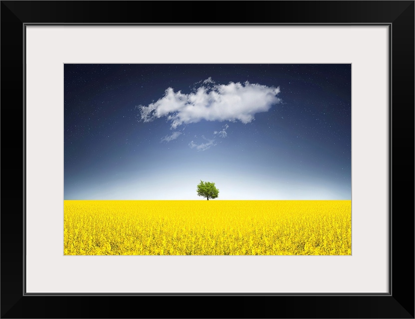 Surreal Canola Field