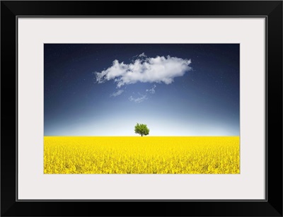 Surreal Canola Field