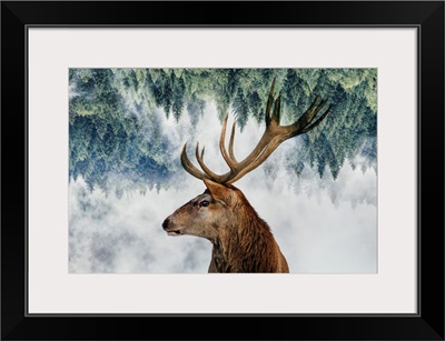 The Deer And The Woods