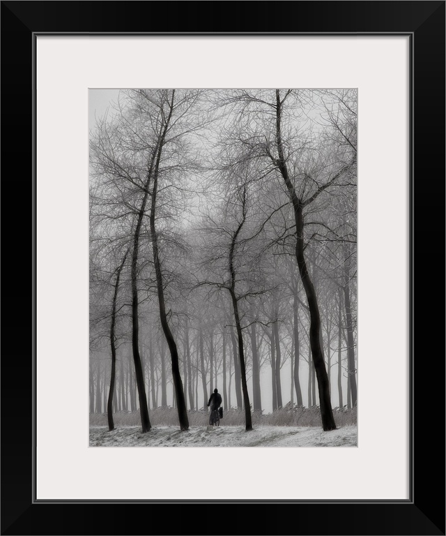 Silhouetted figure riding bicycle among tall spindly trees in a forest.