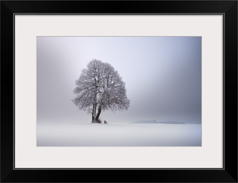 A lone tree in a snow-covered landscape wit ha small bench, Germany.