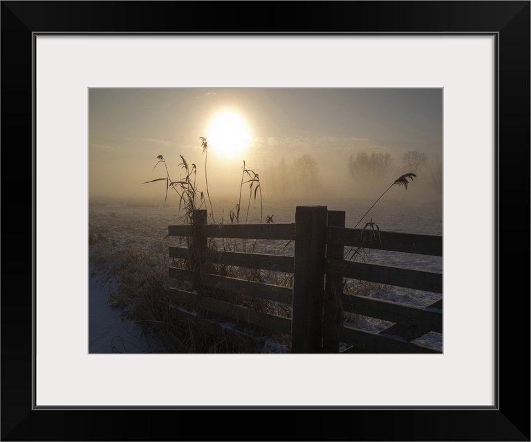 The winter sun shining on a fence in a farm field.