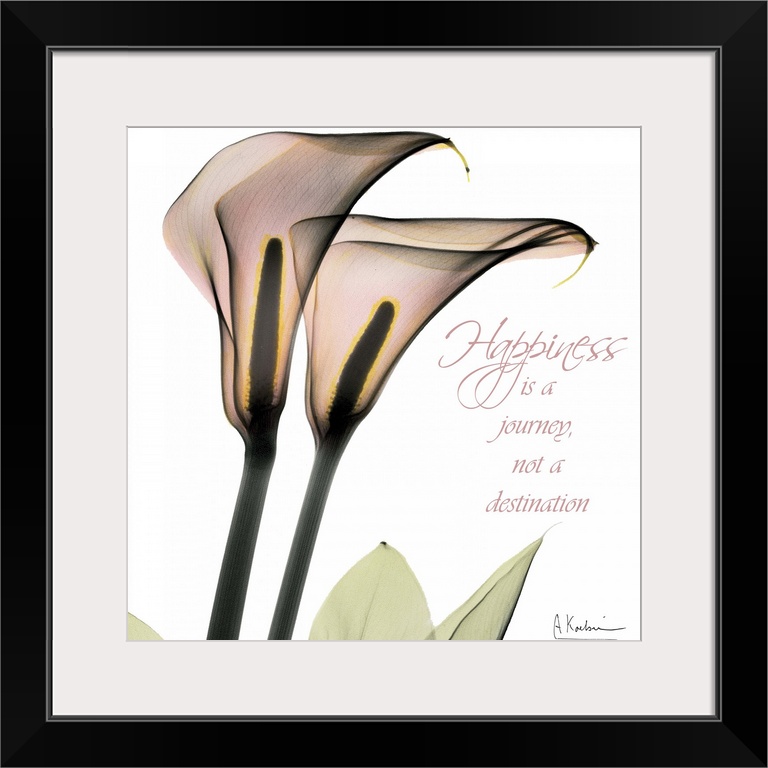 Callas Happiness x-ray photography