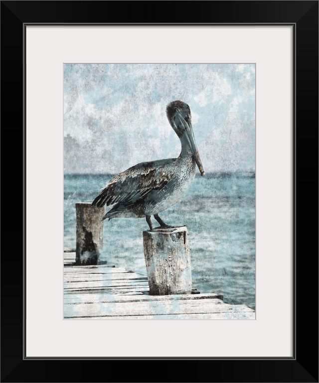 Black and white photograph of a pelican standing on a dock with light blue tones painted on top.