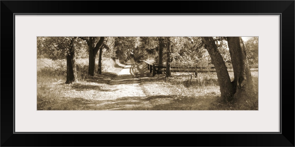 Sepia toned photograph of a dirt path vanishing into a row of trees casting afternoon shadows.