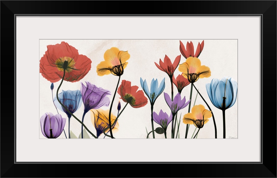 X-ray photograph of spring time colorful flowers.