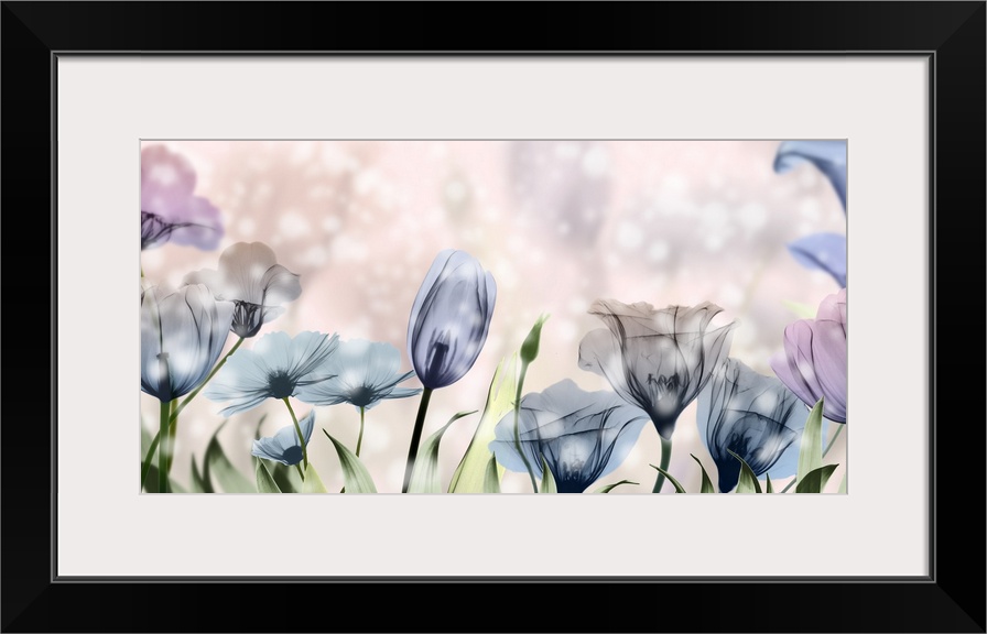 X-ray style photograph of pink and blue flowers in a garden with bokeh lights.