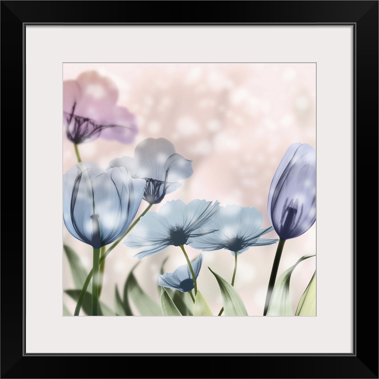 X-ray style photograph of blooming flowers in pink and blue with bokeh lights.