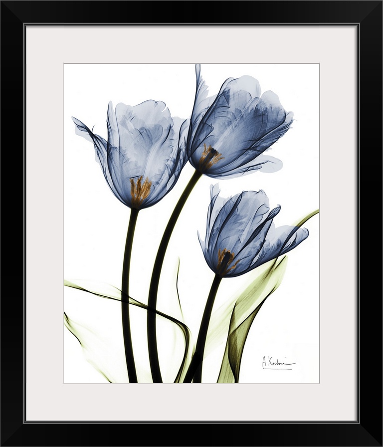 Indigo Infused Tulips