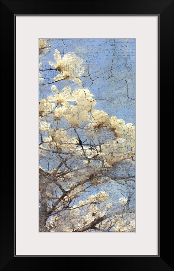 Contemporary artwork of a close view of white magnolia flowers on a tree.