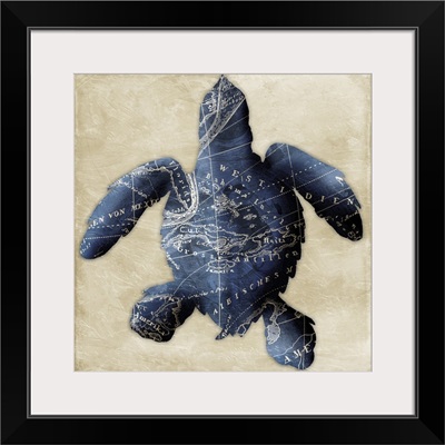 Map Turtle, Indigo
