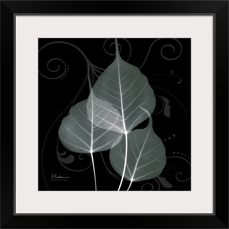 An x-ray of three leaves mint bo tree leaves on a black and grey designed background.