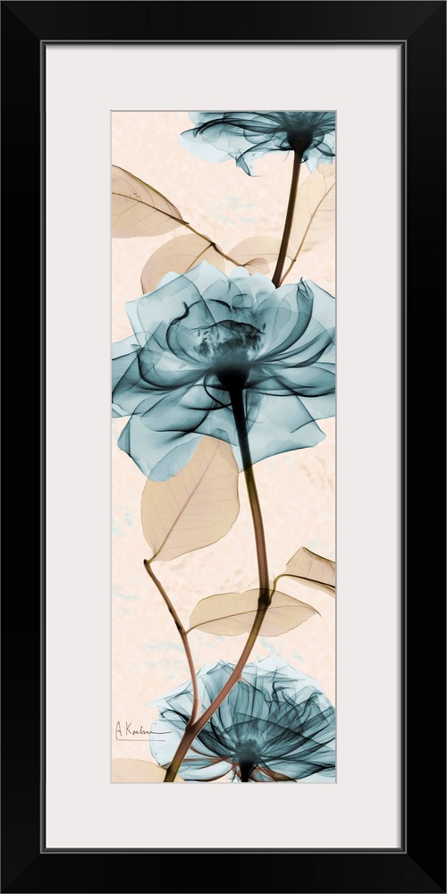 Vertical x-ray photograph of three roses on an earth toned background.