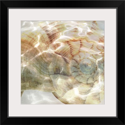 Shell Abstract I