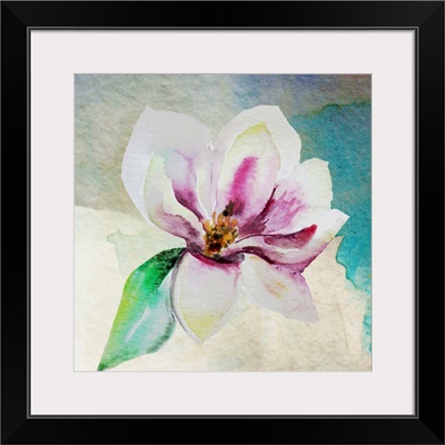 Solitary Magnolia II