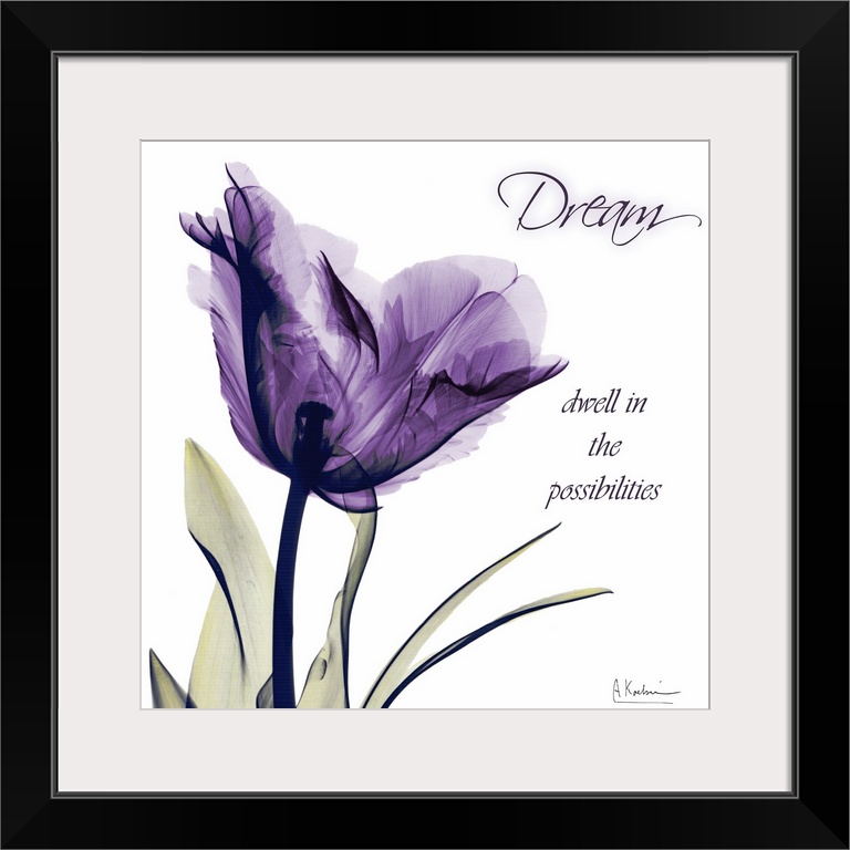 X-ray photo of a tulip flower against a white background with an inspirational quote.