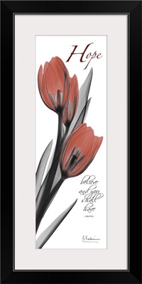 Tulip hope x-ray photography